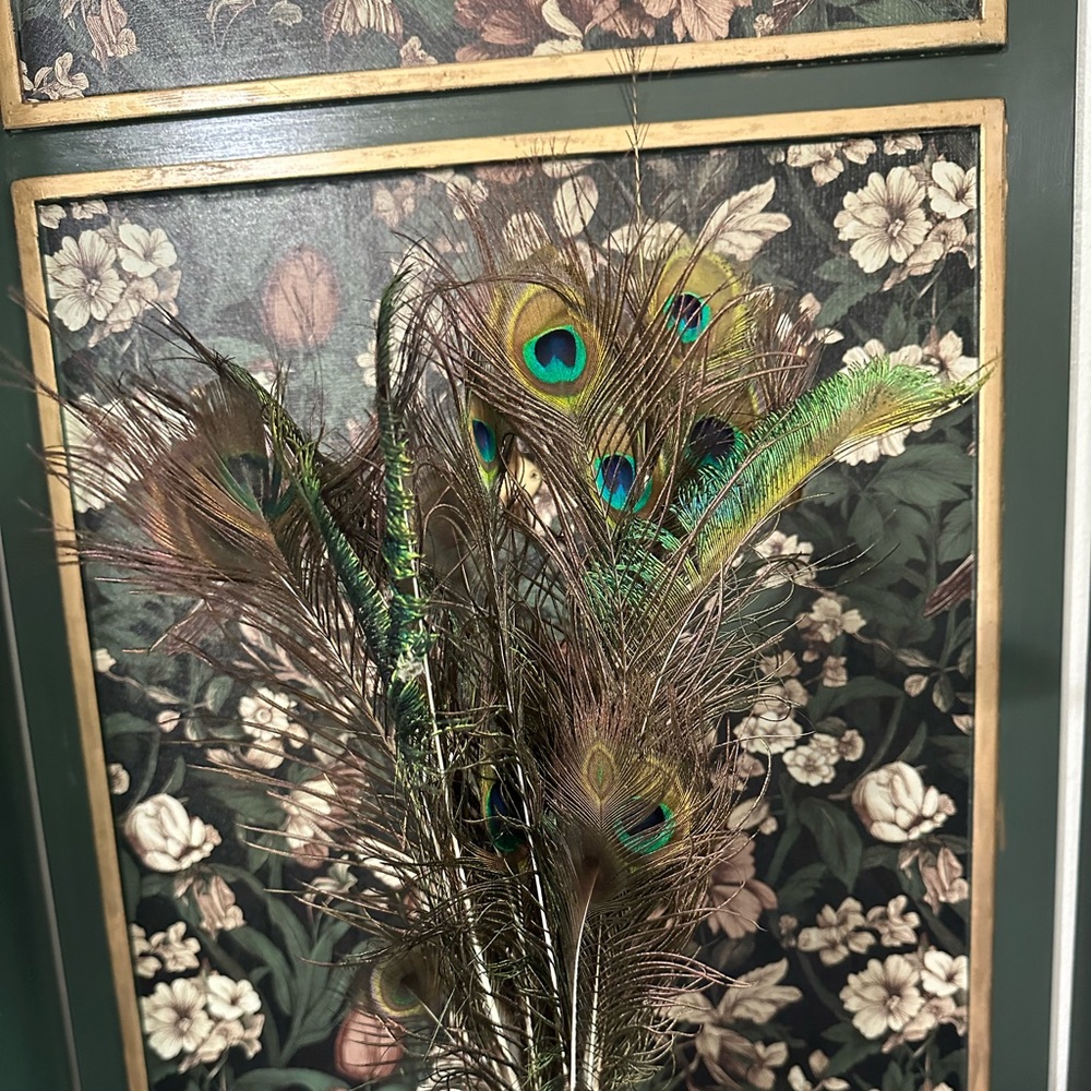 Real Peacock Large  Feathers Lot of 10 Feathers